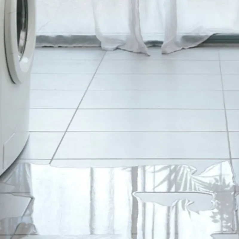 Appliance Leak Cleanup in Caledonia, WI