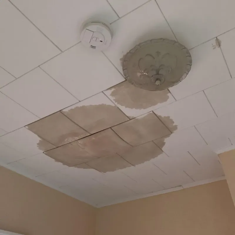 Ceiling Water Damage Repair in Caledonia, WI