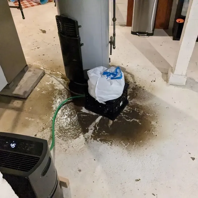 Sewage Backup Cleanup Service in Caledonia, WI